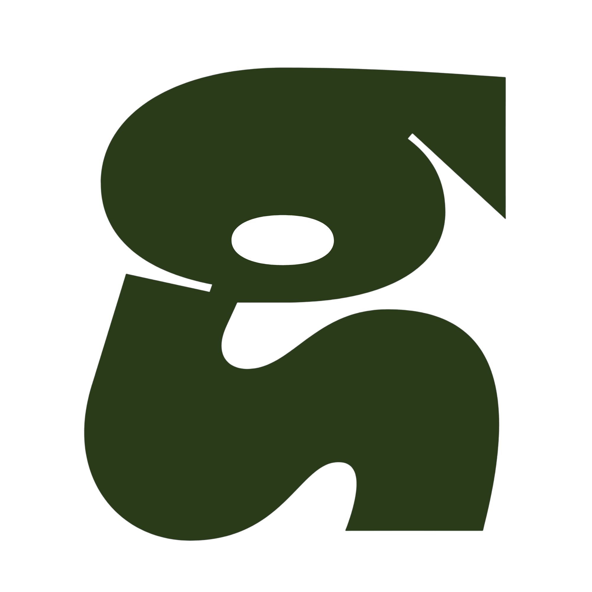 Team Name Jungle